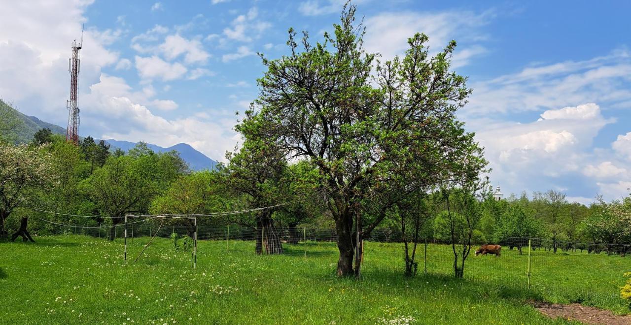 Villa Katharina Bran Bran  Luaran gambar